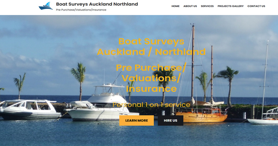 Boat Surveys